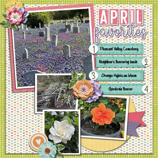 DLPatt_AprilFavorites2025_web.jpg