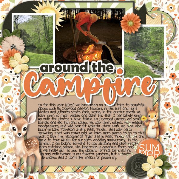 DLPatt_AroundTheCampfire2025_web.jpg