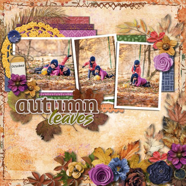 DLPatt_AutumnLeaves_web.jpg