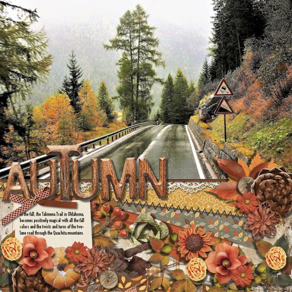 DLPatt_AutumnOnTheTalimenaTrail_web.jpg