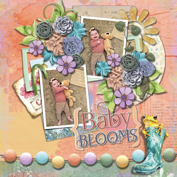 DLPatt_BabyBlooms_web.jpg