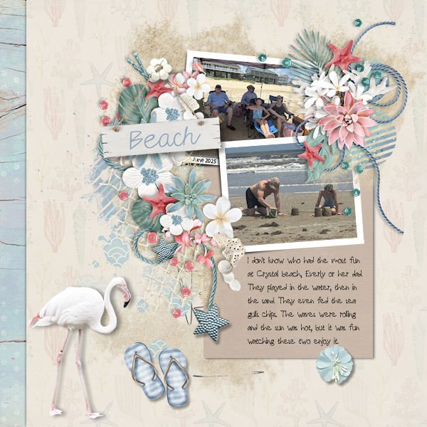 DLPatt_BeachJune2025_web.jpg