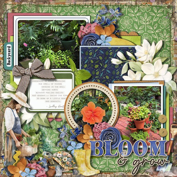 DLPatt_Bloom&Grow_web.jpg