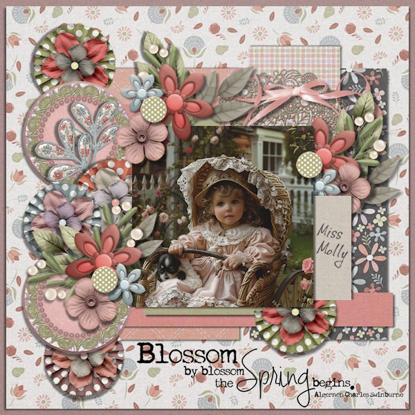 DLPatt_BlossomByBlossom_web.jpg