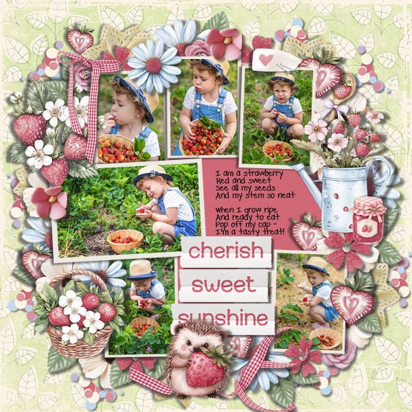 DLPatt_CherishSweetSunshine_web.jpg