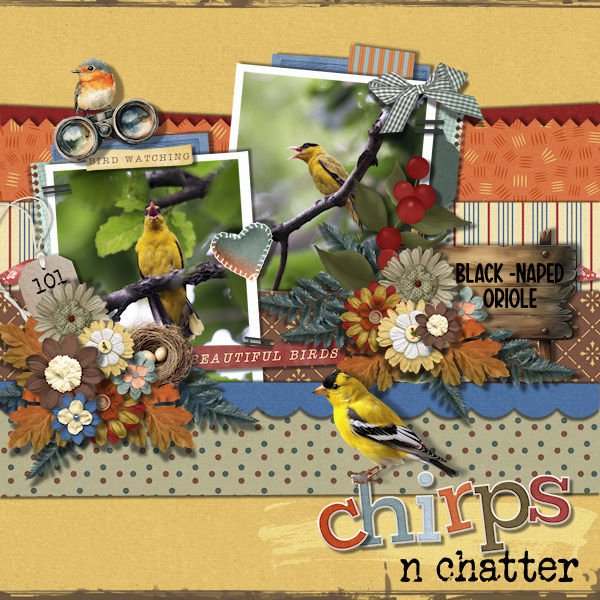 DLPatt_ChirpsAndChatter_web.jpg