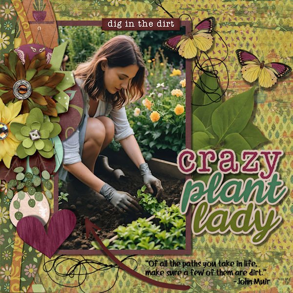 DLPatt_CrazyPlantLady_web.jpg