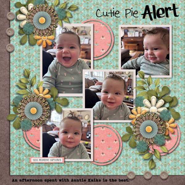 DLPatt_CutiePieAlert_web.jpg
