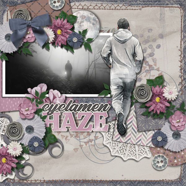 DLPatt_CyclamenHaze_web.jpg