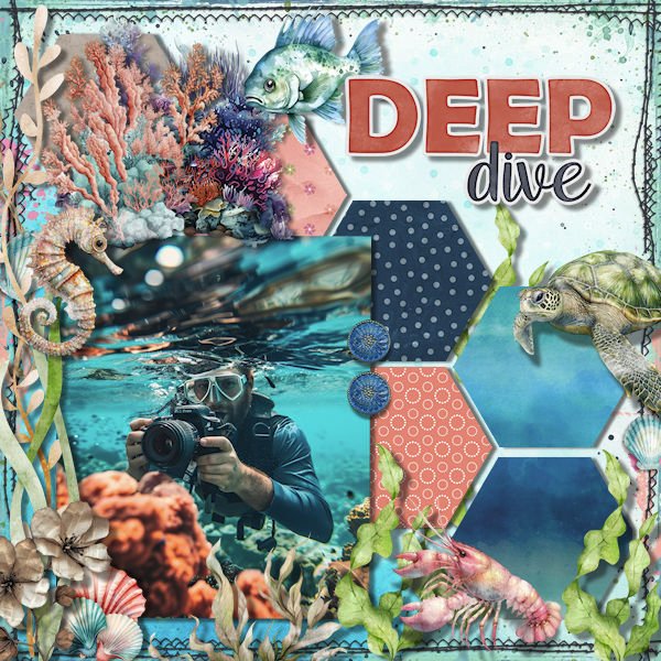 DLPatt_DeepDive_web.jpg