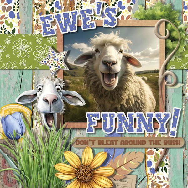 DLPatt_Ewe'sFunny_web.jpg