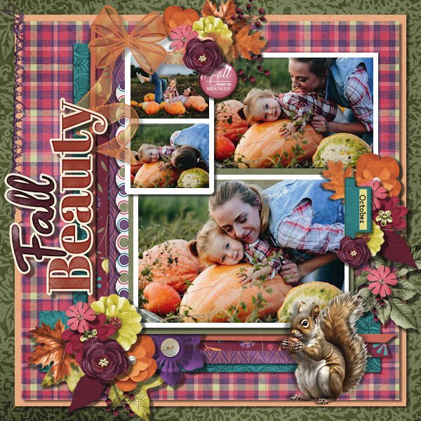 DLPatt_FallBeauty_web.jpg