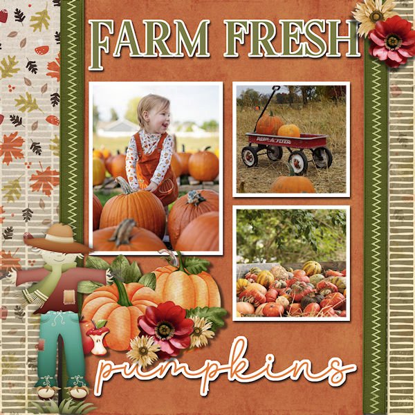 DLPatt_FarmFreshPumpkins_web.jpg