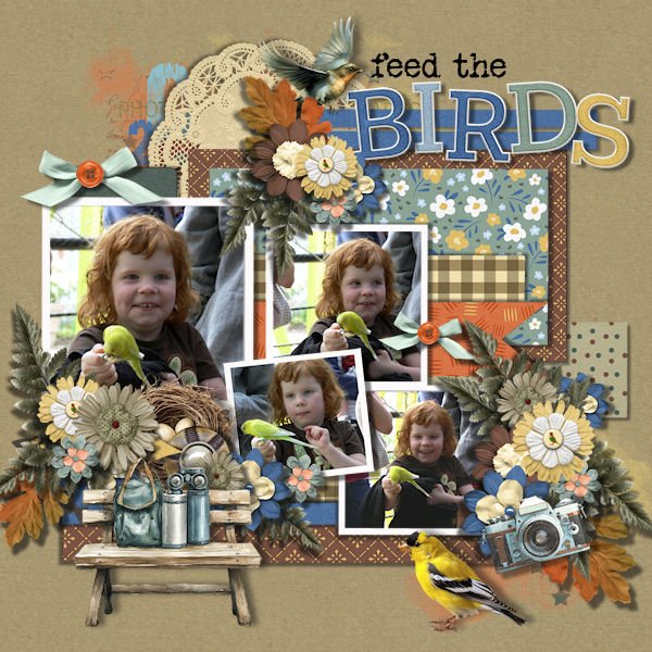 DLPatt_FeedTheBirds_web.jpg