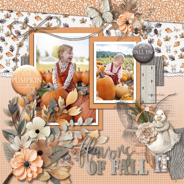 DLPatt_FlavorsOfFall_web.jpg