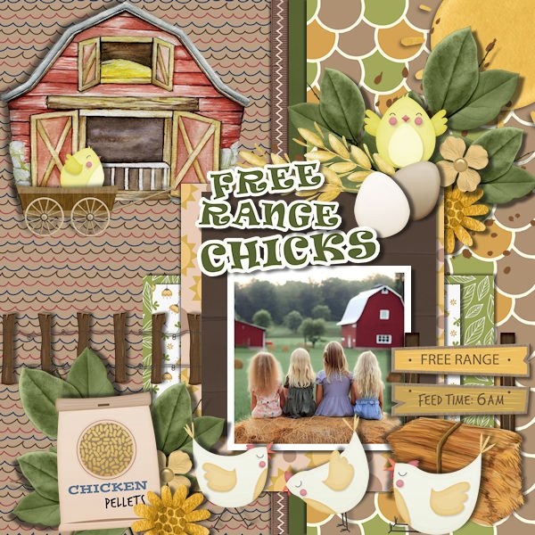 DLPatt_FreeRangeChicks_web.jpg