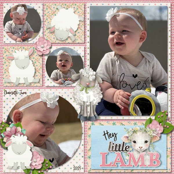 DLPatt_HeyLittleLamb2025_web.jpg