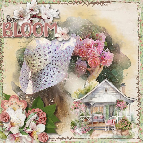 DLPatt_InBloomMay2025_web.jpg