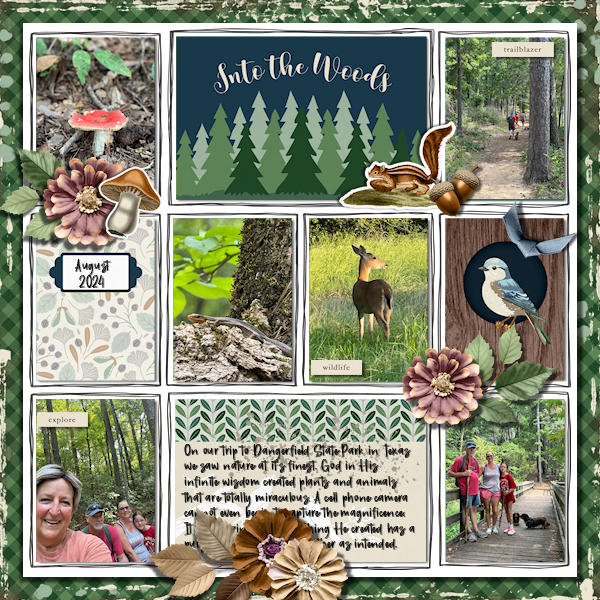 DLPatt_IntoTheWoods_August2024_web