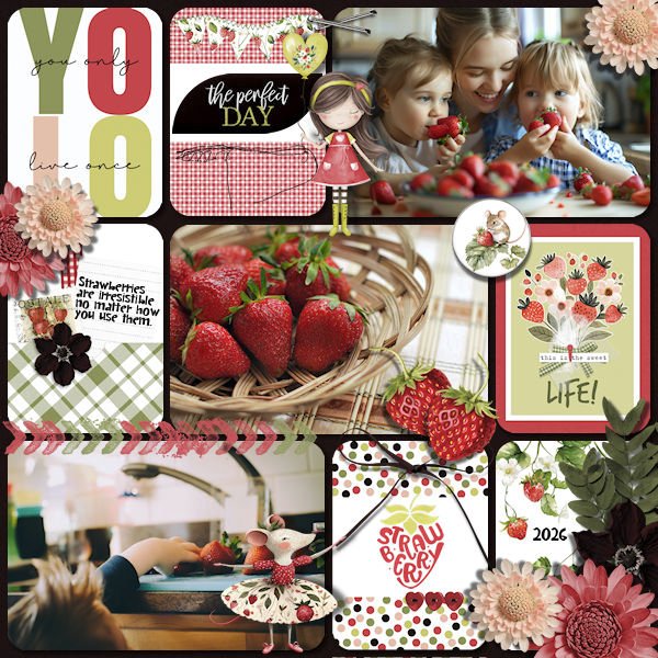 DLPatt_IrresistibleStrawberries_web.jpg