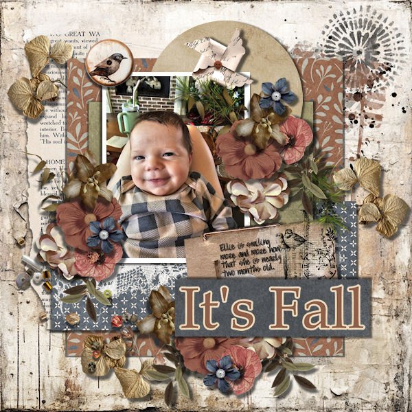 DLPatt_It'sFall_web.jpg