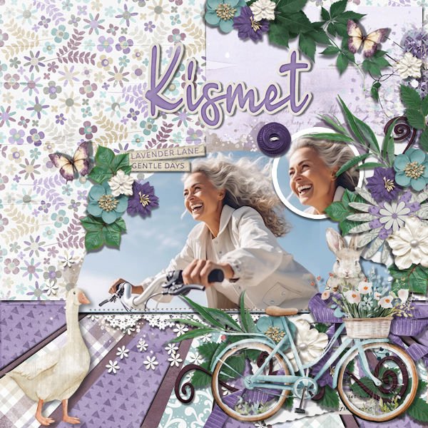 DLPatt_Kismet_web.jpg