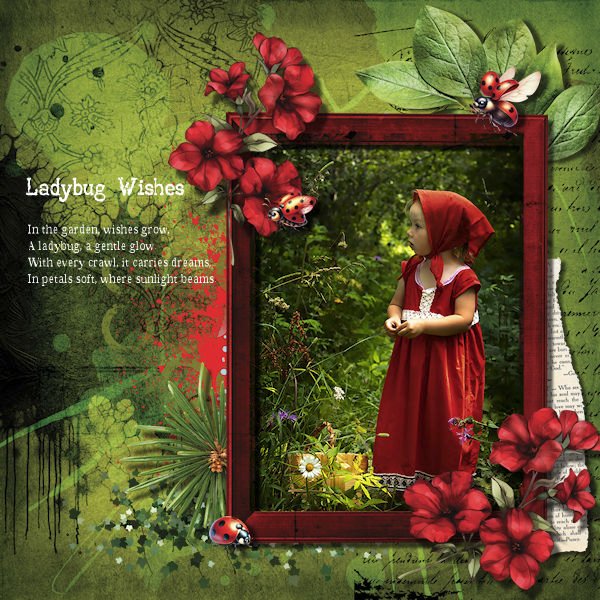 DLPatt_LadybugWishes_web.jpg