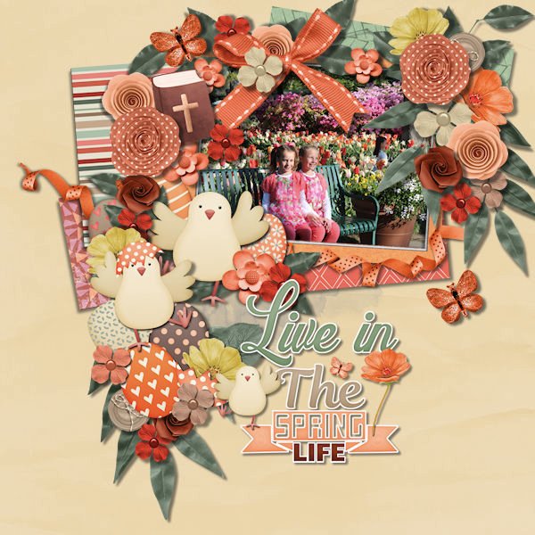 DLPatt_LiveInTheSpringLife_web.jpg