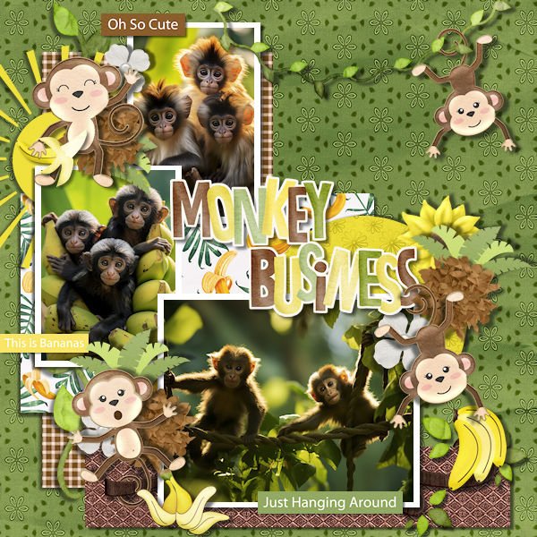 DLPatt_MonkeyBusiness_web.jpg