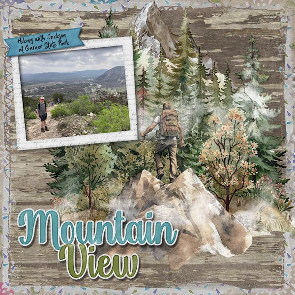 DLPatt_MountainView_web.jpg