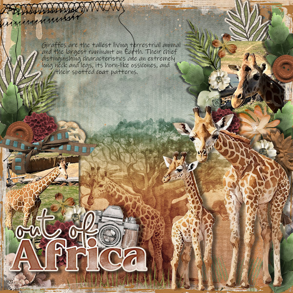 DLPatt_OutOfAfrica_web