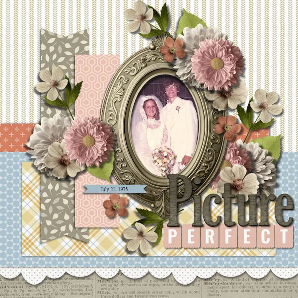 DLPatt_PicturePerfect_web.jpg