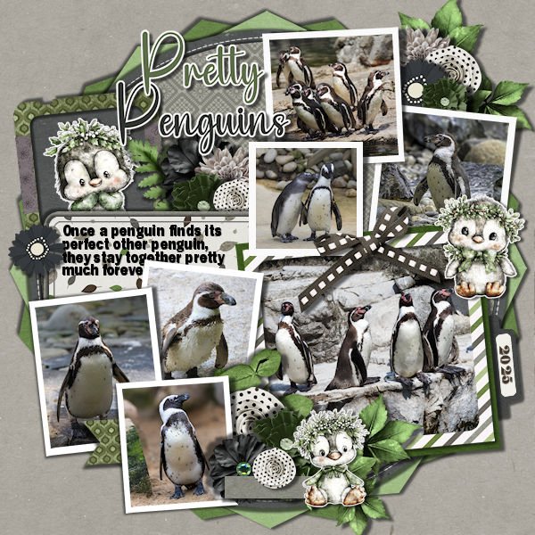 DLPatt_PrettyPenguins_web.jpg