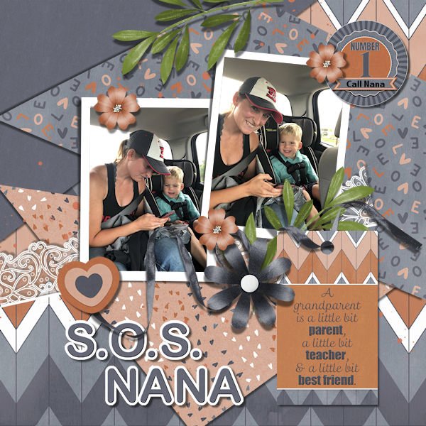 DLPatt_S.O.S.NANA_web.jpg