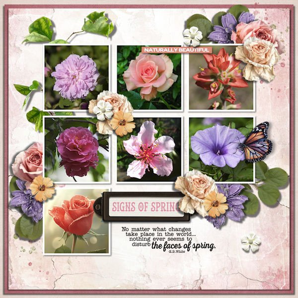 DLPatt_SignsOfSpring_web.jpg
