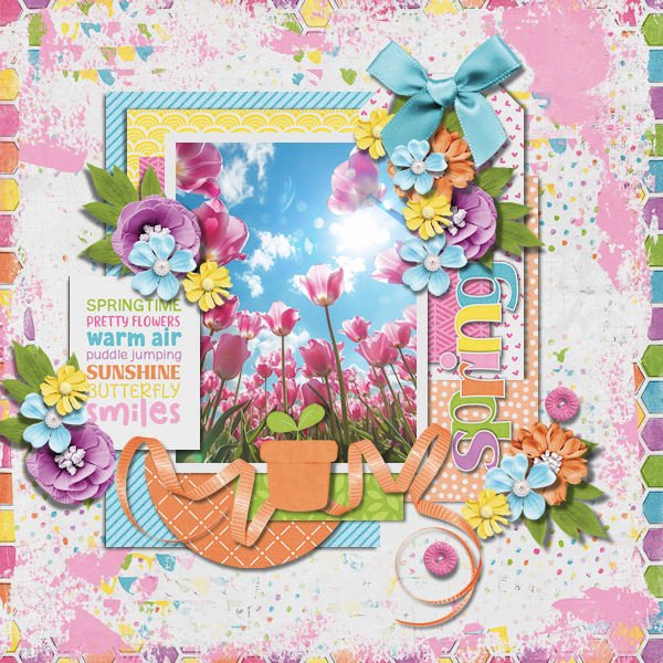 DLPatt_Spring26_web.jpg
