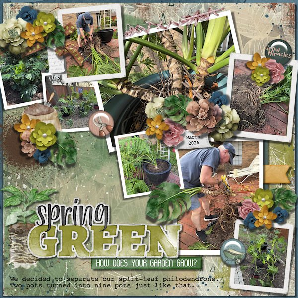 DLPatt_SpringGreen_web.jpg