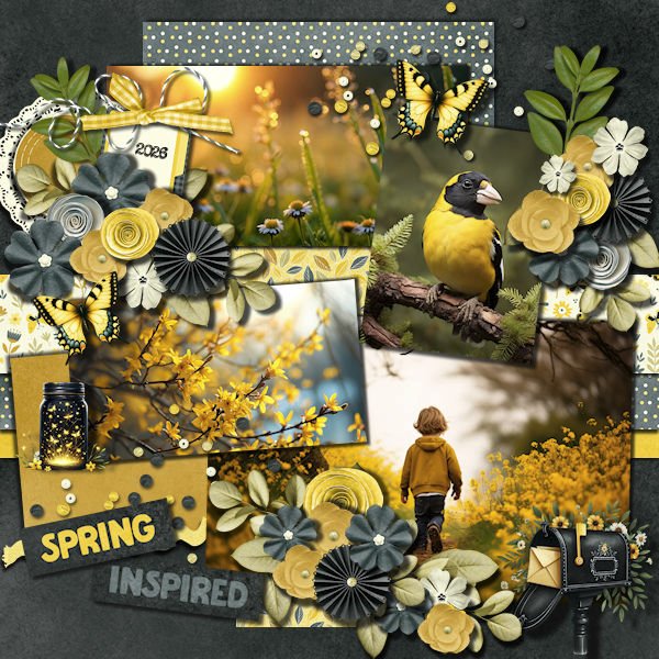 DLPatt_SpringInspired_web.jpg