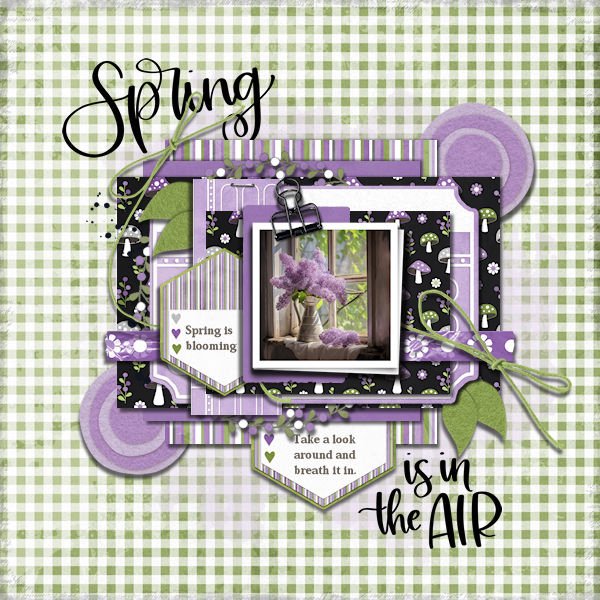 DLPatt_SpringIsInTheAir_web.jpg