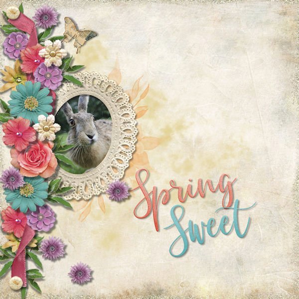 DLPatt_SpringSweet_web.jpg