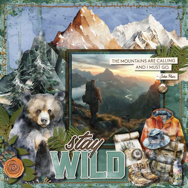 DLPatt_StayWild_web.jpg