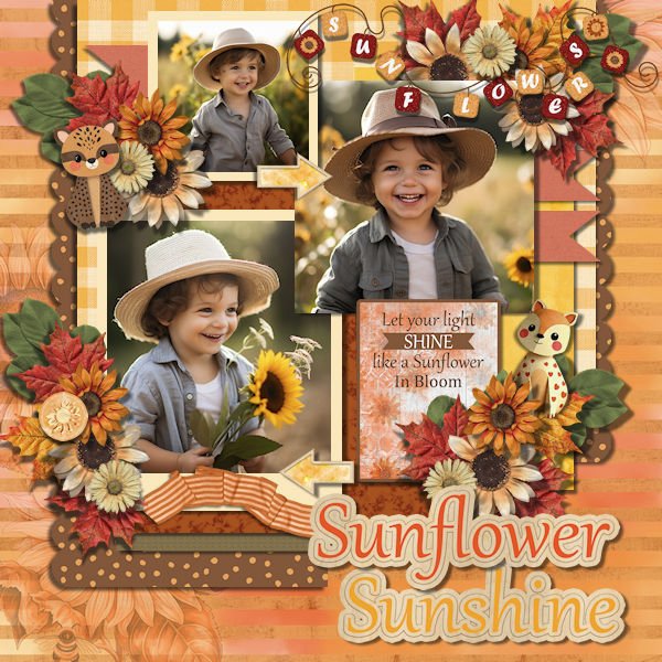 DLPatt_SunflowerSunshine_web.jpg