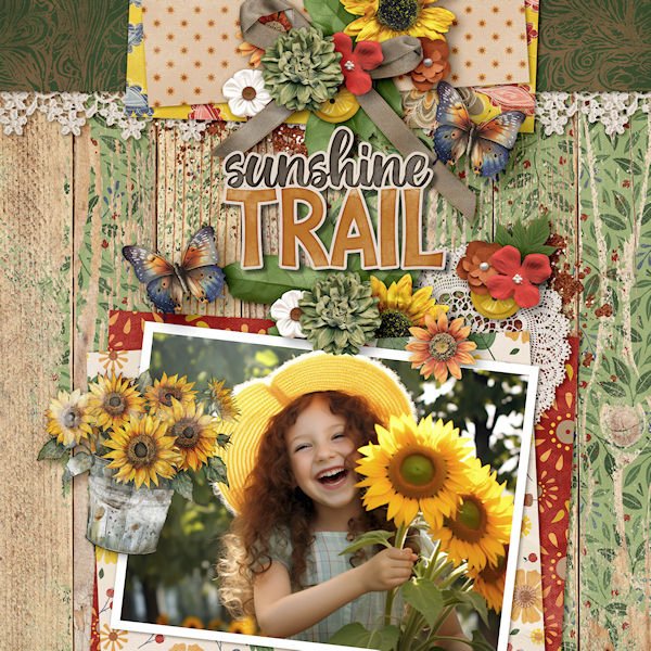 DLPatt_SunshineTrail_web.jpg