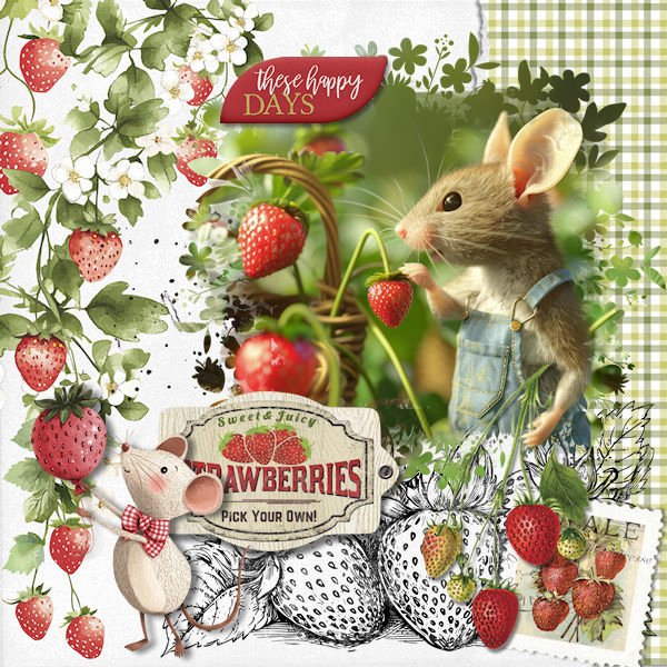 DLPatt_Sweet&JuicyStrawberries_web.jpg