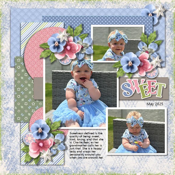 DLPatt_Sweet_May2025_web.jpg