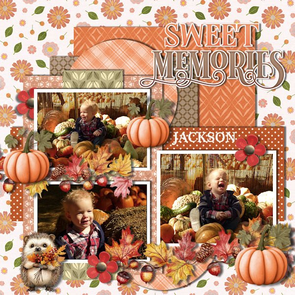 DLPatt_SweetMemories_web.jpg