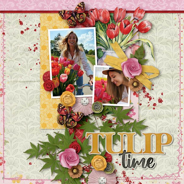 DLPatt_TulipTime_web.jpg