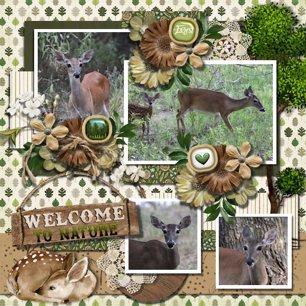 DLPatt_WelcomeToNature_web.jpg
