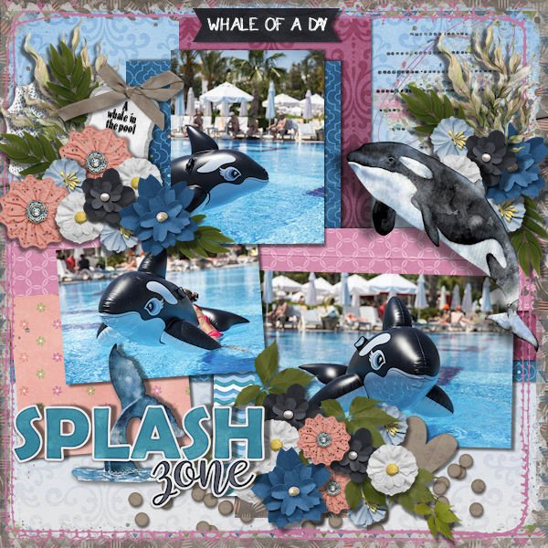 DLPatt_WhaleOfADaySplashZone_web.jpg
