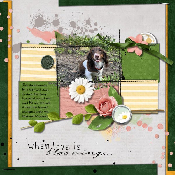 DLPatt_WhenLoveIsBlooming..._web.jpg